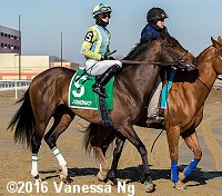 horse racing