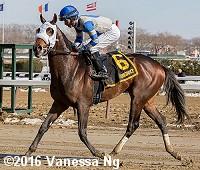 horse racing