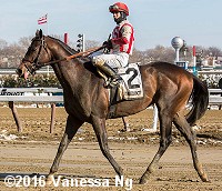 horse racing