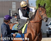 horse racing