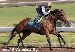 horse racing