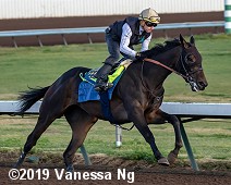 horse racing