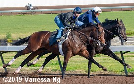 horse racing