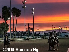 horse racing