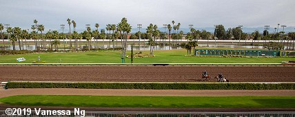 horse racing