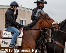 horse racing