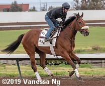 horse racing