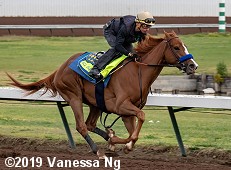 horse racing
