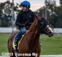horse racing