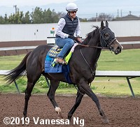 horse racing