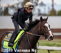 horse racing