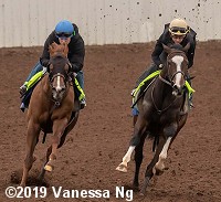 horse racing