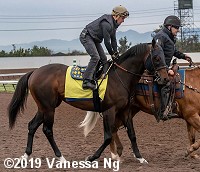 horse racing