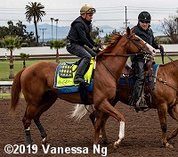 horse racing