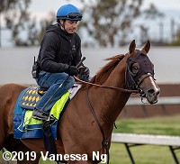 horse racing