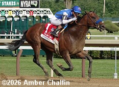 horse racing
