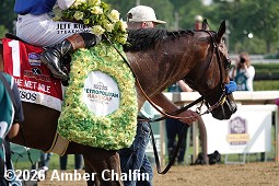 horse racing