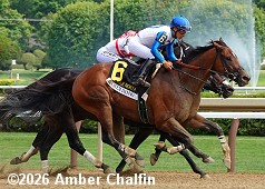 horse racing
